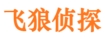 从江飞狼私家侦探公司